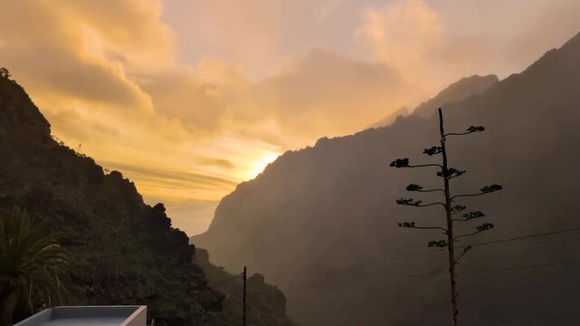 Landscape of the Masca valley in Tenerife, Canary island, Spain. Scenic mountain landscape with palm trees and tropical vegetation in Tenerife. Famous volcanic rock formation in Masca village