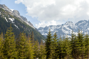 Obraz premium Tatra Mountains in Poland with snow-capped peaks and lush green coniferous trees under a partly cloudy sky during daytime