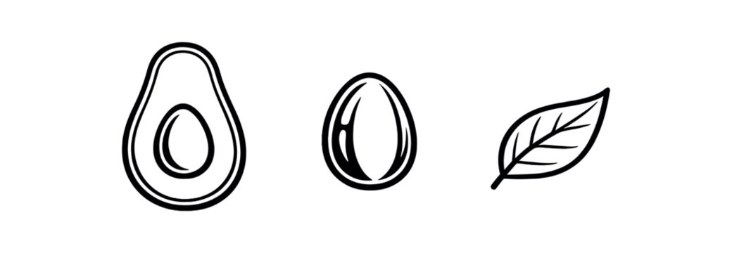 black and white outline ripe avocado half seed detail leaf accent