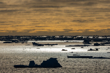 Drift ice after sunset © Staffan Widstrand