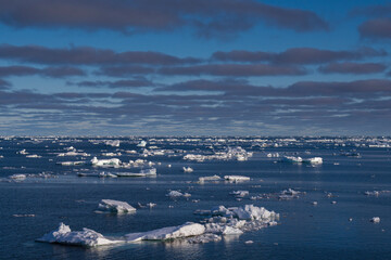 Drift ice after sunset © Staffan Widstrand