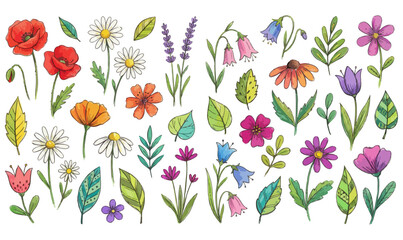 Colorful Hand-Drawn Flowers and Leaves Set &ndash; Botanical Floral Clipart Collection, floral set, flower clipart, botanical illustration, hand drawn flowers, floral elements, flower collection,