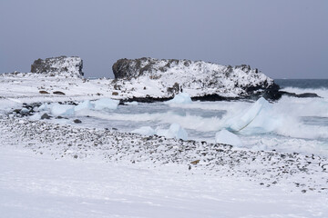 Turret Point, Elephant Island, Antarctica © Staffan Widstrand