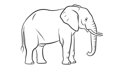 Obraz premium Majestic Elephant Illustration: A detailed black and white illustration of an elephant, showcasing its imposing stature, wrinkled hide, and iconic tusks.