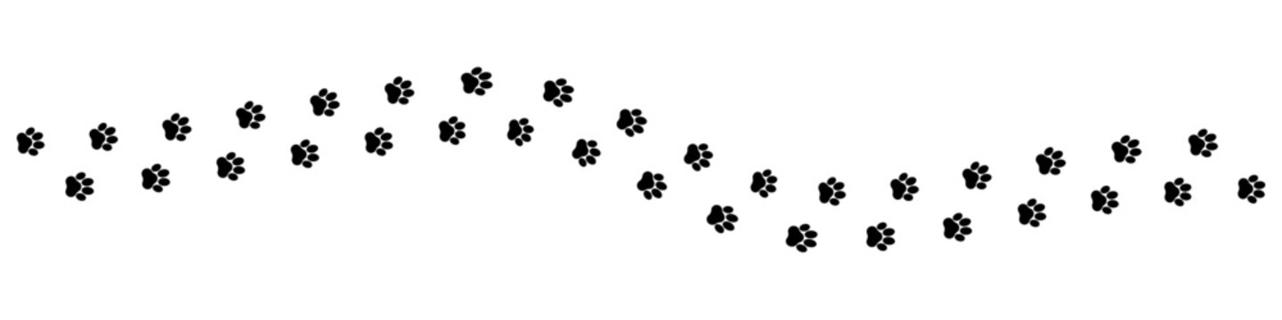 Paw footprint of cat or dog foot trail on white background, vector imprint. Dog or cat pet and wild animal footprint track trail on snow