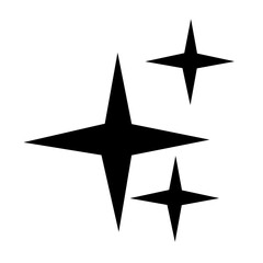 Vector Black Sparkling Star