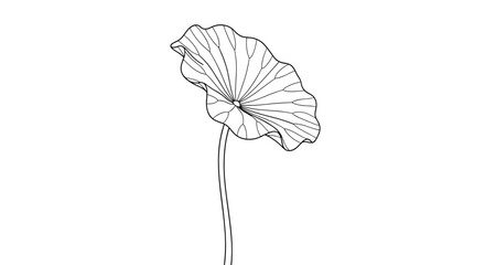 Single lotus leaf on a long thin stem rendered in simple black and white line art, showcasing a minimalist nature design.