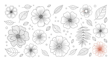 Detailed collection of black and white line-drawn flowers and leaves with one single red-tinted flower on white.