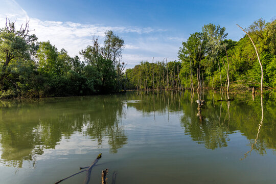 Landschaft im Naturrschutzgebiet Petite Camargue, Frankreich