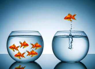 Goldfish jumping from small bowl to large bowl water
