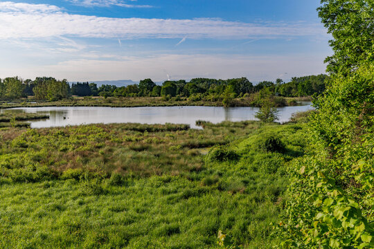 Landschaft im Naturrschutzgebiet Petite Camargue, Frankreich