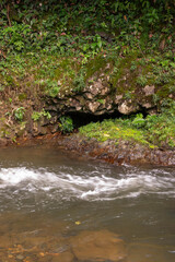 Fototapeta premium Waterfall and swimming hole in tropical forest