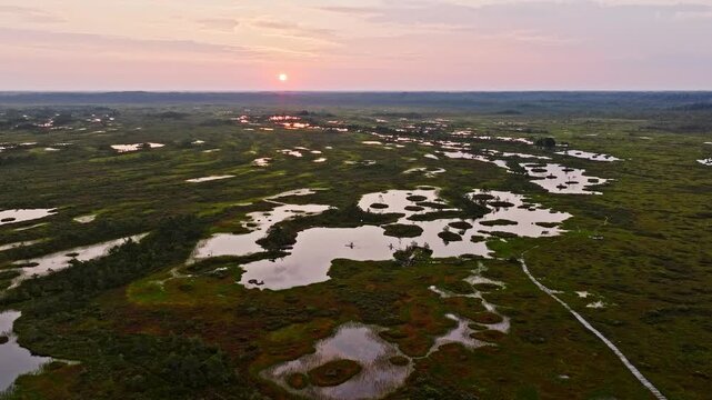Aerial view of the bog summer sunrise