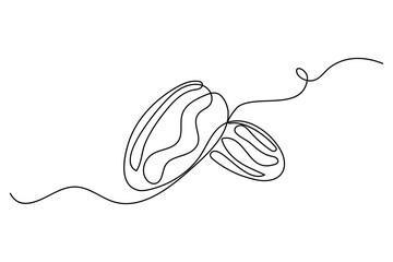 Minimalist continuous one line dried dates fruit outline vector illustration on white background

