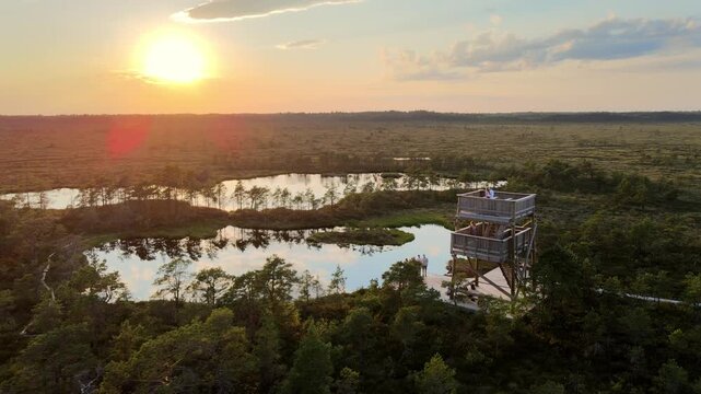 Sunset view at the bog.