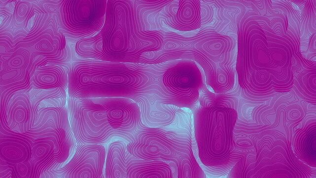 Abstract Flowing Purple and Green Topographic Contour Lines Animation Background