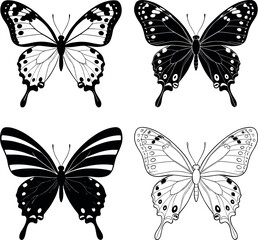 Obraz premium Detailed set of black and white butterfly silhouettes and line art illustrations for nature design summer themes and decorative biological patterns set