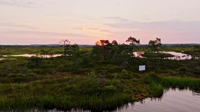 Calm bog aerial view in the sunset