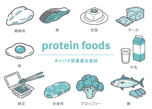タンパク質が豊富な食材のイラストセット（肉・魚・豆・乳製品・野菜）