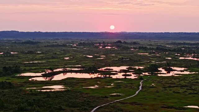 Beatiful aerial view to the bog