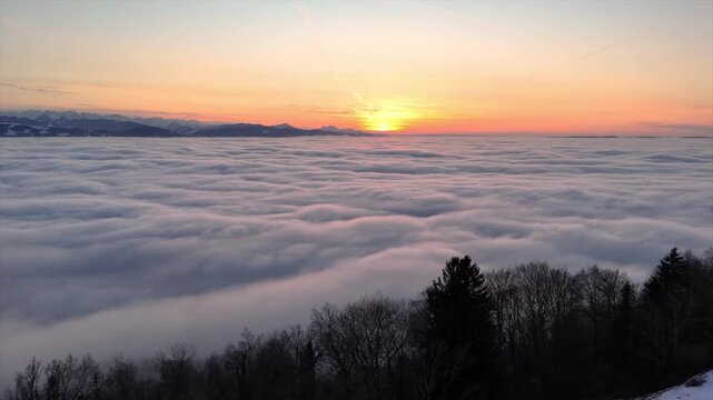 Drone flight at sunset over a sea of ​​fog above the trees, heading towards the sun. The fog is illuminated in a pink glow. It is winter in the Swiss Alps. Mountain ranges are visible.