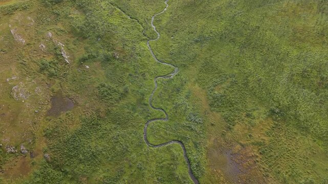 A Narrow Stream Winds Through Open Tundra and Mossy Terrain, Along the E69 Road in Finnmark, Norway - Bird's Eye View Shot