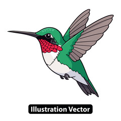 Obraz premium A vibrant hummingbird in mid-flight, showcasing its colorful plumage and dynamic wings, vector illustration of a bird in motion