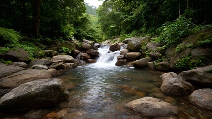 Obraz premium A scenic waterfall cascades over mossy rocks in a lush green tropical forest