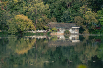 Obraz premium reflection in the lake