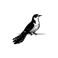 Obraz premium Bird perched on wire, illustration of magpie in profile view