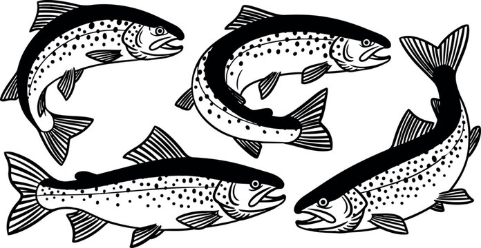 Hand drawn vector art of four blue and black spotted trout fish swimming in different curved poses isolated on light background