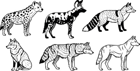 Fototapeta premium Detailed black and white vector art showing side view of hyena african wild dog red fox sitting and standing wolves natural wildlife animals collection
