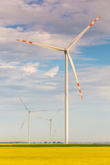 Nice view of the windmill fields in Blazejowice in Poland.