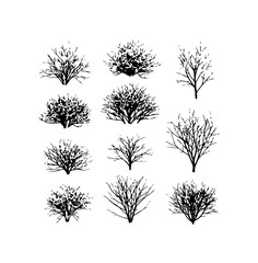 Fototapeta premium Collection of Abstract Vector Trees