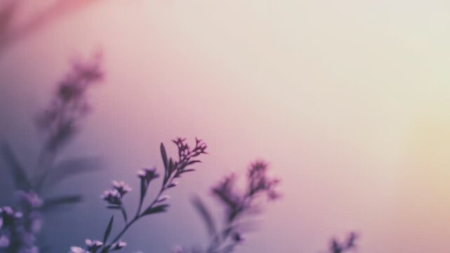 Delicate wild blossoms are growing softly upward, forming a beautiful botanical pattern against a gradient background of purple, pink, and yellow, creating a serene and ethereal atmosphere