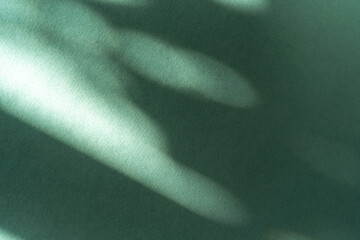 Fototapeta premium Abstract shadow sun glare from glass, empty background composition for product presentation. The background is gren. Showcase Nude Studio Minimal.