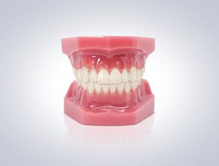 Obraz premium インビザライン マウスピース矯正 イラスト リアル