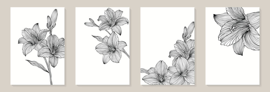 banner background of creative minimalist hand draw illustrations floral black and white outline lily for wall decoration, postcard or brochure cover design, banner beauty web cite.