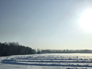 Sunny winter landscape with snow field and forest. Nature scenery with bright blue sky. Cold weather travel destination. Winter season.