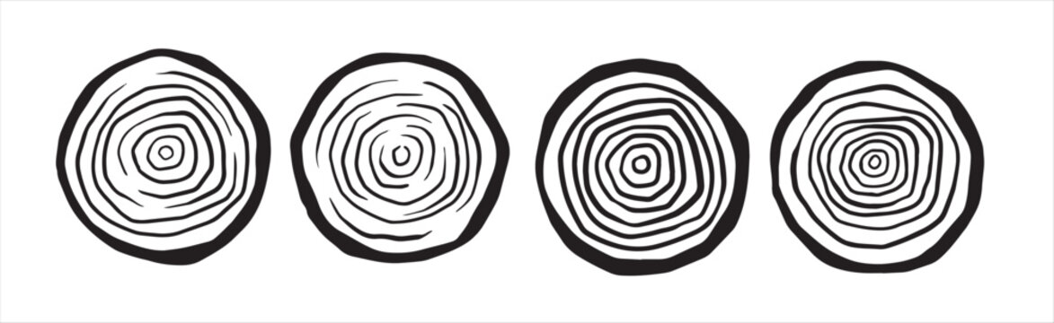 cut tree trunk stump cross section concentric circular 