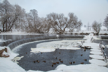  Ducks gathering on an icy pond in a snowy park