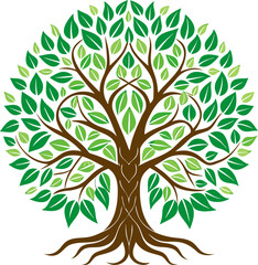 Obraz premium A symmetrical tree with a leaf pattern. The ornament is a tree of life pattern. Hand-drawn lines.white background