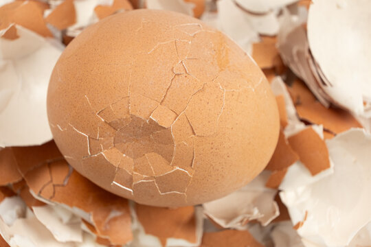 Broken shell texture, macro shot of a hard boiled egg.