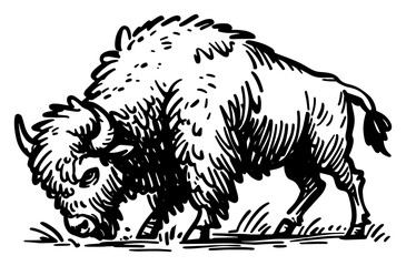 American bison buffalo walking hand drawn sketch, powerful wild prairie animal vector illustration in woodcut style