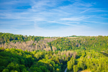 Naklejka premium Pedestrian suspension bridge above Rappbodetalsperre lake and Rappbode River in Harz Mountains National Park, Germany