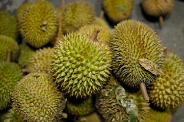 Fresh local durian fruit in Aceh, Indonesia, sold on the side of the road at night.