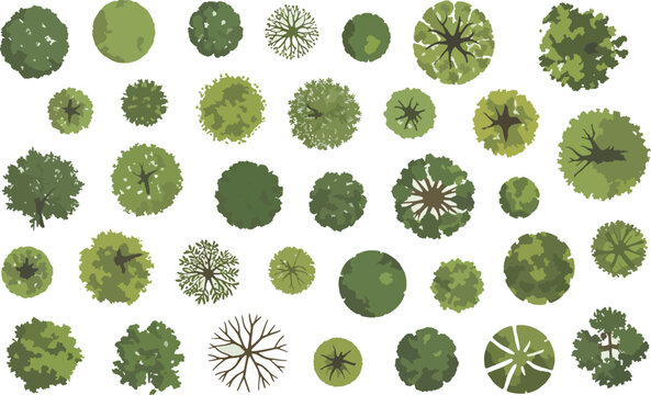 Set of 35 realistic tree top view CAD blocks for architectural site plans, detailed organic vegetation symbols and foliage icons for landscape design and urban planning.