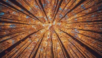 Autumn leaves texture background with warm yellow and orange tones representing fall season nature.