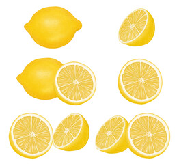 Fresh yellow lemons set isolated on transparent background. Hand drawn fruit lemons illustration.