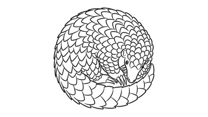 Rolled Pangolin in Protective Pose: A detailed line drawing captures the intricate scale pattern of a pangolin, curled into a defensive ball.